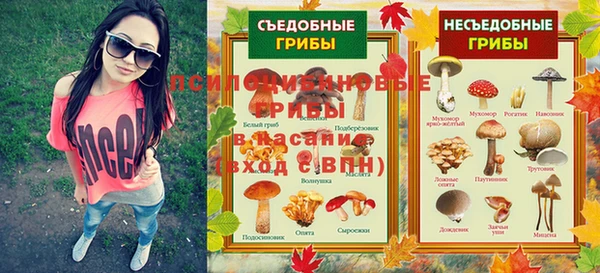 спайс Мегион