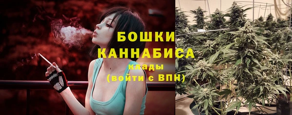 спайс Мегион