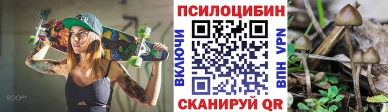 Купить  Калининград  Псилоцибиновые грибы мухоморы